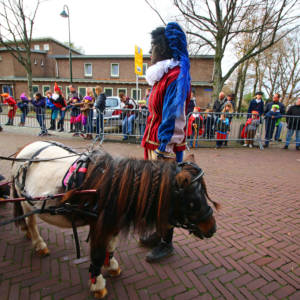 15 11 14 Intocht van Sinterklaas in Gouda Regentesseplantsoen 1022 2