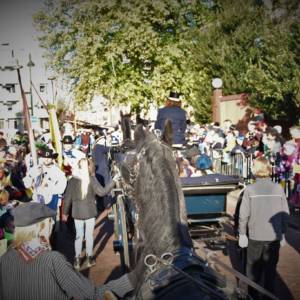 46501816 903617556512284 8894955331046604800 o 903617546512285